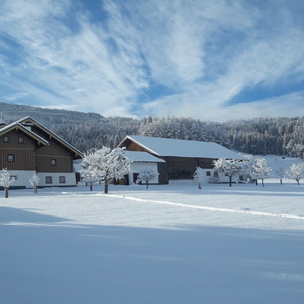 Ferienhaus Schober mit Blick zur Skischaukel Radstadt - Fotograf: Familie Hochwimmer